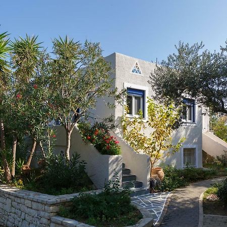 Into The Blue Villa Arkadiko Chorio Exterior foto